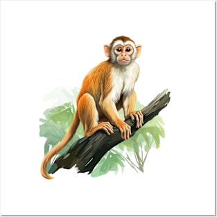 Squirrel Monkey Posters and Art